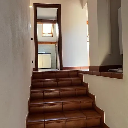 Garibaldi * リーヴァ・リーグレ